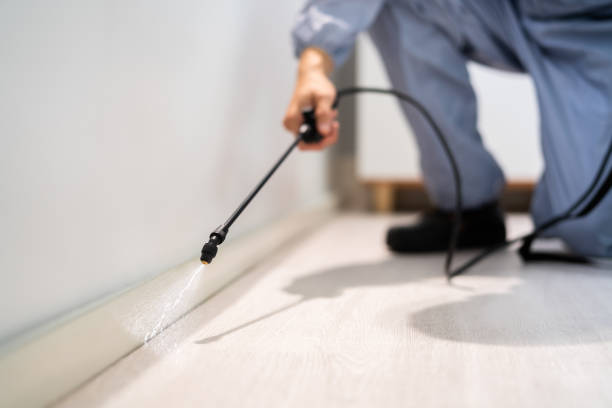 Licensed Pest Control service in Montpelier, VT - Show Me Pest Control