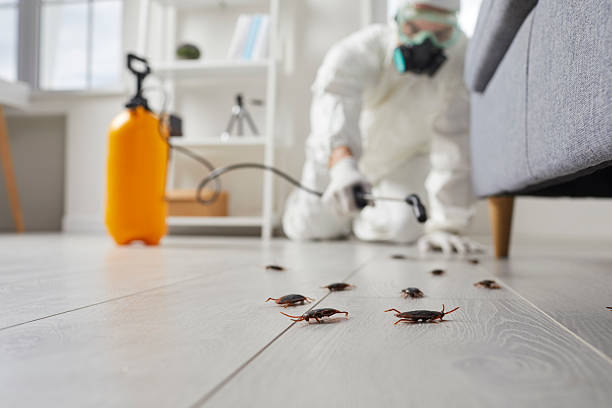 Commercial Kitchen Cockroach Control in Montpelier